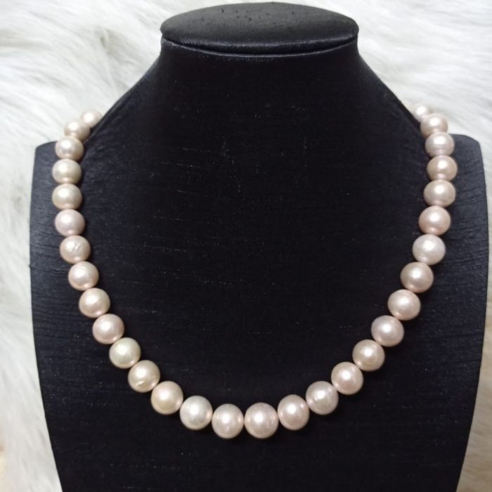 Single Layer South Sea Pearl Necklace